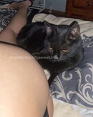 Анкета проститутки Ленусик - метро Тропарево-Никулино, возраст - 23